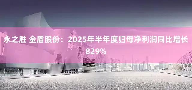 永之胜 金盾股份：2025年半年度归母净利润同比增长829%